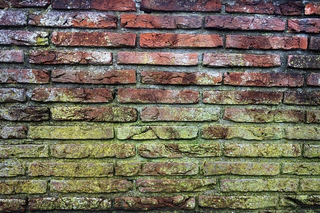 brick-wall